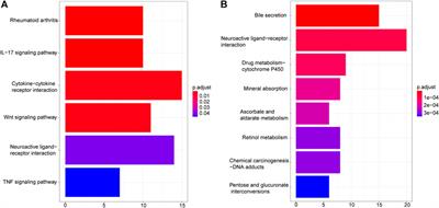 A bioinformatics framework to identify the biomarkers and potential drugs for the treatment of colorectal cancer